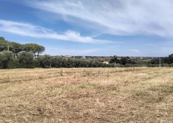 Foto 11 - Terreno agricolo contrada Monti, Grottammare - foto 11