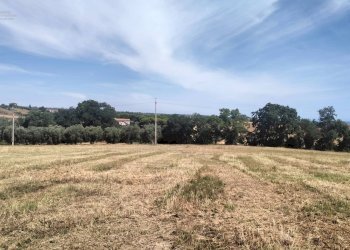 Foto 17 - Terreno agricolo contrada Monti, Grottammare - foto 17