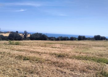 Foto 18 - Terreno agricolo contrada Monti, Grottammare - foto 18