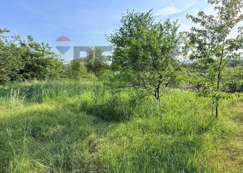 Giardino - Terreno agricolo via mazzini
16, Sangiano - foto 5
