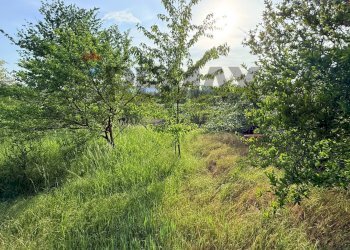 Giardino - Terreno agricolo via mazzini
16, Sangiano - foto 6