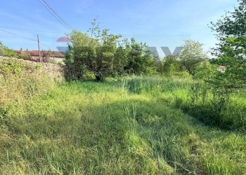 Giardino - Terreno agricolo via mazzini
16, Sangiano - foto 7
