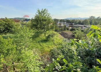 Giardino - Terreno agricolo via mazzini
16, Sangiano - foto 14