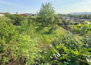 Giardino - Terreno agricolo via mazzini
16, Sangiano - foto 15