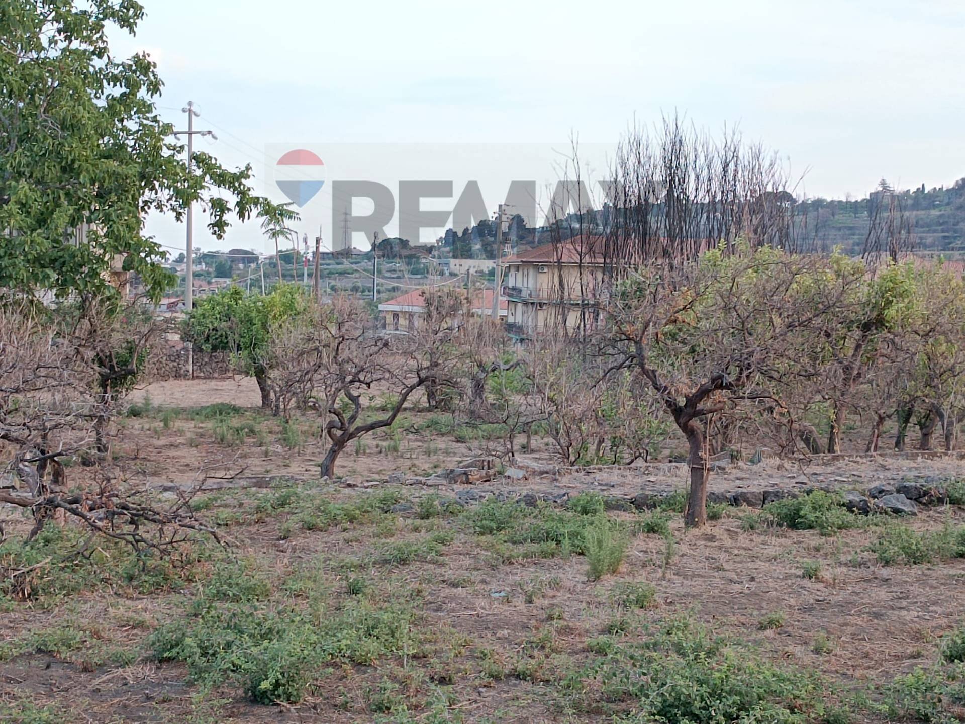 Non correlato - Terreno agricolo Via Elemosina
 
snc, Aci Catena - foto 2