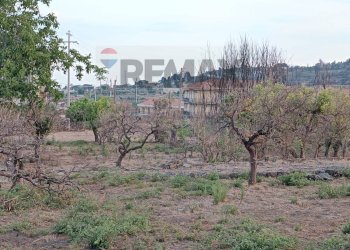 Non correlato - Terreno agricolo Via Elemosina
 
snc, Aci Catena - foto 2