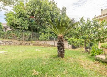 Giardino - Villa via della castagnetta
 
38, Ardea - foto 68