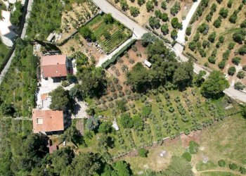 vista dall\'alto - Casa semi indipendente Via Bucci
 
SNC, Vico del Gargano - foto 6