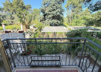 vista sul giardino - Casa semi indipendente Via Bucci
 
SNC, Vico del Gargano - foto 15