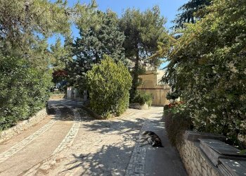 esterno - Casa semi indipendente Via Bucci
 
SNC, Vico del Gargano - foto 19