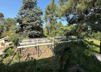 giardino - Casa semi indipendente Via Bucci
 
SNC, Vico del Gargano - foto 20