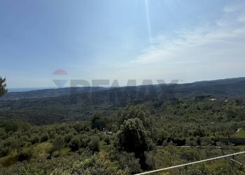 vista sulla natura - Casa semi indipendente Via Bucci
 
SNC, Vico del Gargano - foto 30