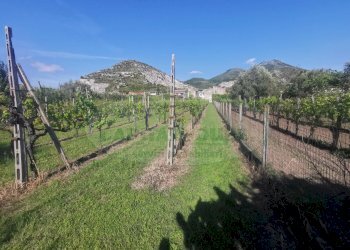 Foto 10 - Terreno edificabile ZONA VIA DELLA LIBERTA', Capua - foto 10