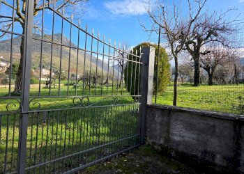 Giardino - Casa indipendente Esperia - foto 34