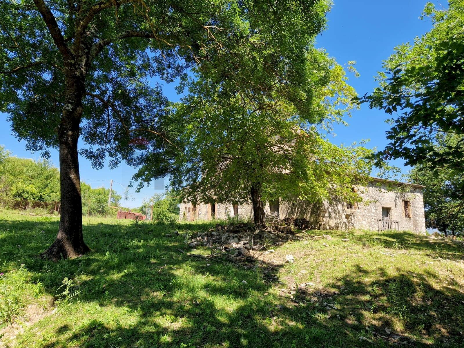 Giardino - Terreno agricolo colli superiori, San Giorgio a Liri - foto 2
