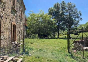 Giardino - Terreno agricolo colli superiori, San Giorgio a Liri - foto 3