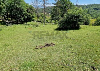 Giardino - Terreno agricolo colli superiori, San Giorgio a Liri - foto 7