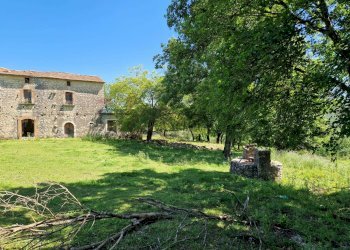 Giardino - Terreno agricolo colli superiori, San Giorgio a Liri - foto 10
