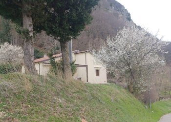 Foto 4 - Villa San Fele - foto 4
