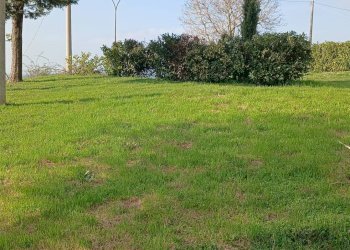 Foto 23 - Villa San Fele - foto 23