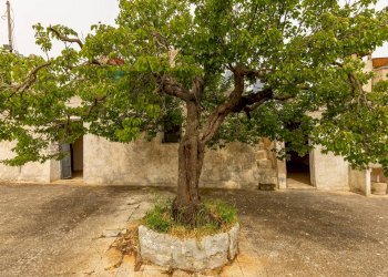 Giardino - Baita Strada Trasconi, Martina Franca - foto 24