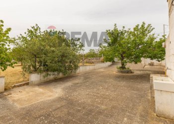 Giardino - Baita Strada Trasconi, Martina Franca - foto 27