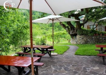 Foto 3 - Agriturismo località Fantino
 
1, Palazzuolo sul Senio - photo 3