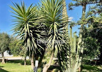 Foto 4 - Villa Via Elorina, Siracusa - foto 4