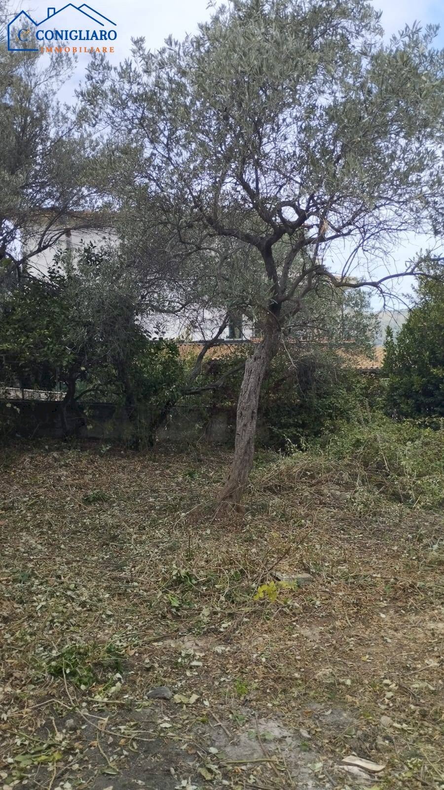 Foto 2 - Rustic Via Alexandros Panagulis, Torretta - photo 2
