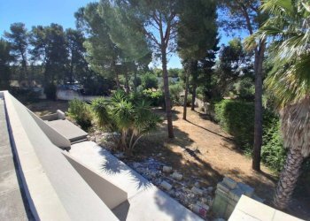 Giardino - Villa via Vincenzo Importuno, San Marzano di San Giuseppe - photo 23
