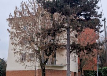 Terreno - Three-room apartment via dell'Uccellino, Bologna (neighborhood Savena) - photo 29