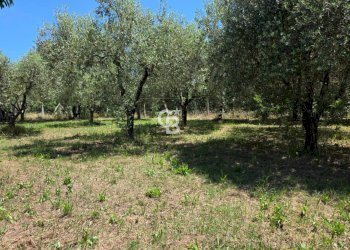 Foto 17 - Villa Località Le Molette, Caprarola - foto 17