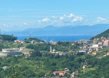 Foto 1 - Appartamento Via Pierino Negrotto Cambiaso, Genova - foto 1