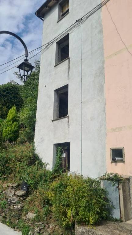 Facciata - Rustico via Costa, Lorsica - foto 1