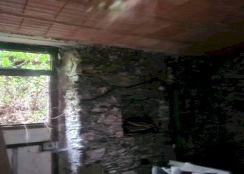 Cantina - Rustic via Costa, Lorsica - photo 17