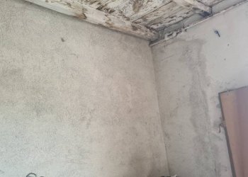 Cantina - Rustic via Costa, Lorsica - photo 30