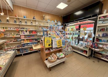 Interno non residenziale - Alimentari - Gastronomia Frazione Beguda, 54, Borgo San Dalmazzo - foto 5