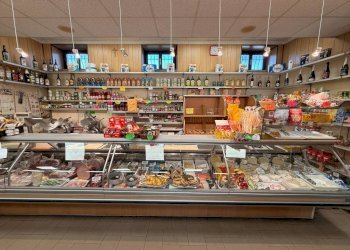 Interno non residenziale - Alimentari - Gastronomia Frazione Beguda, 54, Borgo San Dalmazzo - foto 8