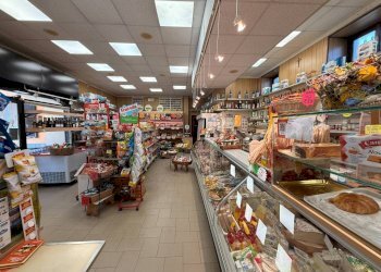 Interno non residenziale - Alimentari - Gastronomia Frazione Beguda, 54, Borgo San Dalmazzo - foto 10