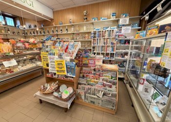 Interno non residenziale - Shop Frazione Beguda, 54, Borgo San Dalmazzo - photo 4