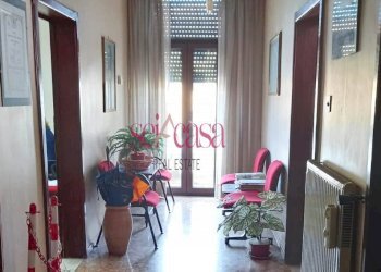 Foto 1 - Appartamento Grosseto - foto 1