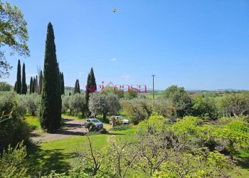 Foto 11 - Villa Magliano in Toscana - foto 11