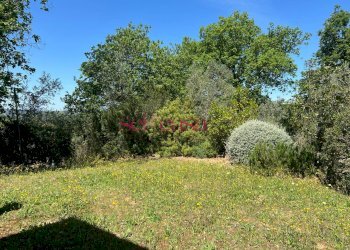 Foto 20 - Rustico Cinigiano - foto 20