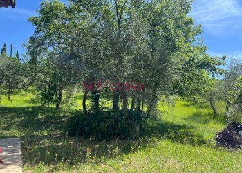 Foto 24 - Rustico Cinigiano - foto 24