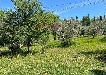 Foto 25 - Rustico Cinigiano - foto 25