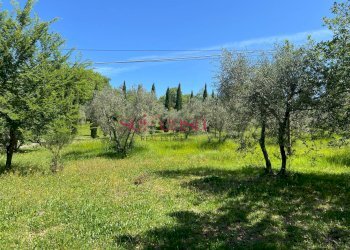 Foto 27 - Rustico Cinigiano - foto 27