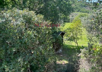 Foto 29 - Rustico Cinigiano - foto 29