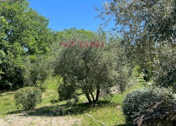 Foto 32 - Rustico Cinigiano - foto 32