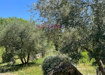 Foto 33 - Rustico Cinigiano - foto 33