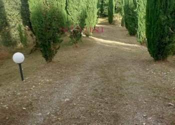 Foto 35 - Rustico Cinigiano - foto 35
